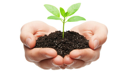Two hands support dark soil with a young green plant growing, symbolizing care, nurturing, and the environment