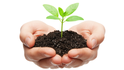Two hands support dark soil with a young green plant growing, symbolizing care, nurturing, and the environment