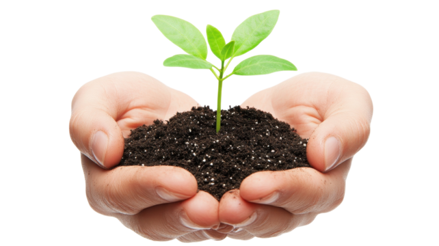 Two hands support dark soil with a young green plant growing, symbolizing care, nurturing, and the environment