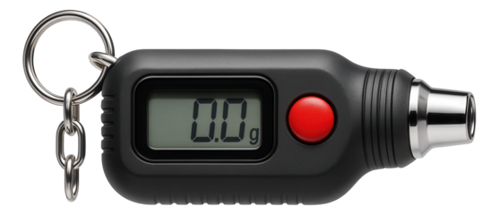 Portable tire pressure gauge with a keychain attachment for convenient storage in a glove compartment.