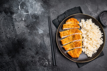 Delicious katsu style dish, featuring a perfectly cooked chicken meat cutlet served alongside...