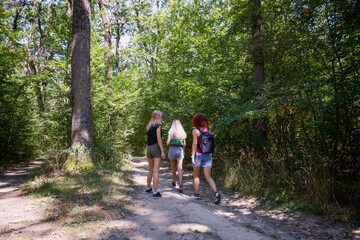 Obraz premium A group of three middle-aged female friends are hiking through the forest and relaxing.