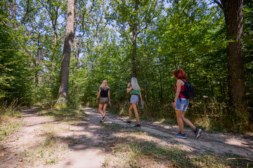 Fototapeta premium A group of three middle-aged female friends are hiking through the forest and relaxing.