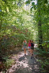 Fototapeta premium A group of three middle-aged female friends are hiking through the forest and relaxing.