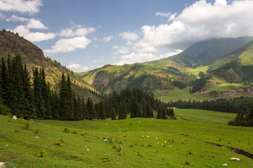 Naklejka premium The mountain valley Djety-Oguz in Kyrgyzstan