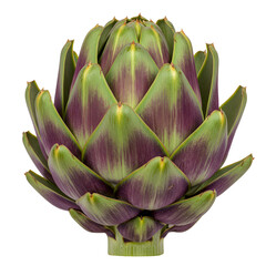 Fototapeta premium Fresh, vibrant artichoke with stunning purple hues, perfect for culinary or design projects