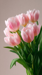 Fototapeta premium bouquet of pink tulips