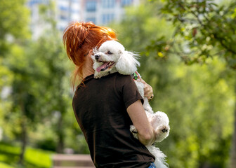  A young woman plays with a white poodle in the park.