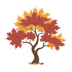 Autumn maple tree, vector illustration on white background.