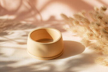 Ceramic pet bowl beige color minimalist style autumn light soft shadow dried grass wellness calm home decor natural material peaceful atmosphere
