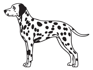 DALMATIAN SPOT DOG SILHOUETTE