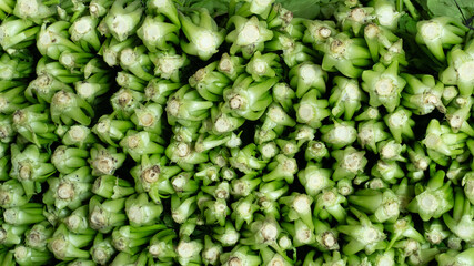 Close Up View Of Fresh Green Vegetables