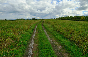 Obraz premium country road in the outdoor