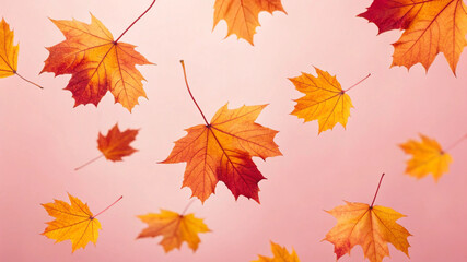 Autumn Leaves &ndash; Autumn, Leaves, Fall, Season, Nature, Orange, Red, Yellow, Foliage, Tree, Colorful, Leaf, Beautiful, Scenic