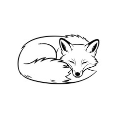 Sleeping Fox Line Drawing