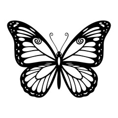 Butterfly Line Art Illustration