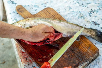A close-up photograph shows a older person hands descale a freshly caught fish on a wooden cutting...