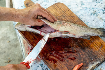 A close-up photograph shows a older person hands descale a freshly caught fish on a wooden cutting...