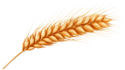 Close-up of ripe wheat, revealing its golden grains and nature's design in agriculture