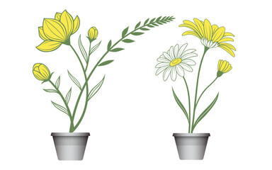 Floral Flourish: A botanical illustration of delicate yellow blossoms and white daisies, artfully potted, set against a clean backdrop. Demonstrating natural beauty and elegance.