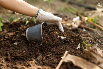 Hand in glove adding rich compost into a pot for home gardening