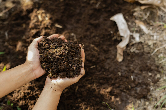 Hands scooping rich humus soil for soil health and biodiversity test