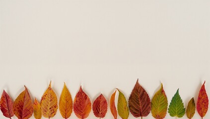 Assorted Red, Orange, and Green Leaves Flat Lay