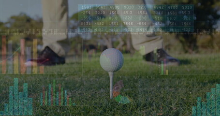 Displaying golf ball sitting on tee at tee box with beige pants, black shoes, data overlays