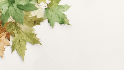 Watercolor Green Maple Leaves on White Background