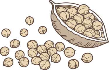 Realistic Chickpeas Illustration. Fresh Chickpeas Artwork on White Background. Chickpeas Close-Up Illustration. Organic Chickpeas Detailed Artwork. Chickpeas for Cooking Realistic Illustration