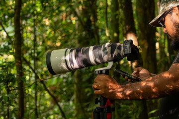 Fototapeta premium Professional wildlife photographer capturing tropical rainforest scenes, reviewing images on smartphone with high-end telephoto lens camera