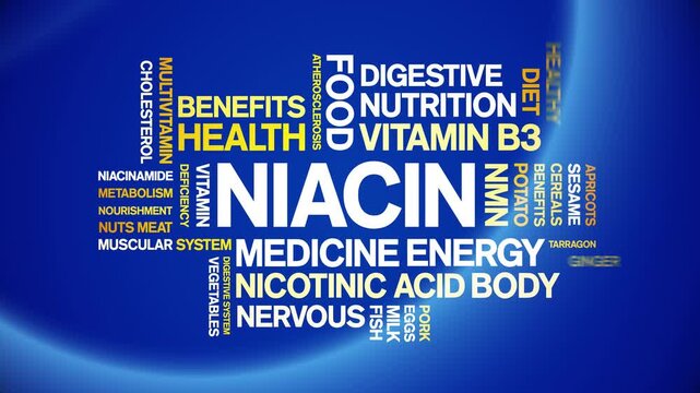 Niacin animated word cloud-text design animation tag kinetic typography seamless loop.
