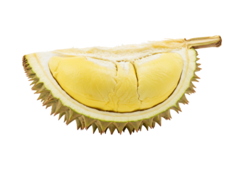 Halved durian fruit with spiky husk showing creamy yellow segments against transparent background
