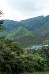 Panoramic View of Mountain Range , Malaysia