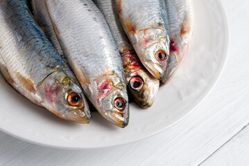 Sardine fresche, cibo del mediterraneo 