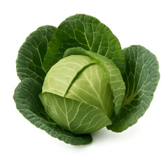 Fototapeta premium Photo of a fresh, whole green cabbage with crisp leafy layers, isolated on transparent background, representing a healthy and versatile ingredient for various culinary uses and diets