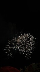 fireworks in the sky