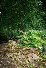 Abandoned gothic tombs covered with moss lies broken in overgrown cemetery