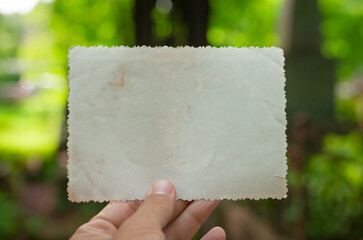 Hand of woman holds the vintage empty paper on leaves natural background