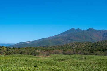 Fototapeta premium 秋晴れの山と緑の草原