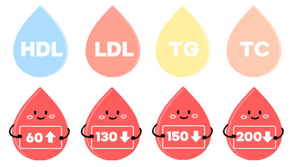 Cholesterol and lipid profile blood drop character icon set &ndash; HDL, LDL, TG, TC with numeric values, PNG, isolated