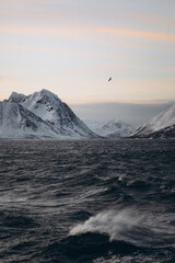 A dramatic winter seascape with turbulent, dark waves in the foreground, and a large range of...
