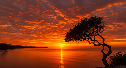 A dramatic and fiery sunset over the ocean, with the sun's reflection creating a brilliant path of light on the calm water. A solitary, windswept tree is silhouetted against the vibrant sky