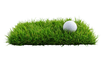 A golf ball sits on vibrant grass, surrounded by a bright, clear area, ideal for a game on a sunny day
