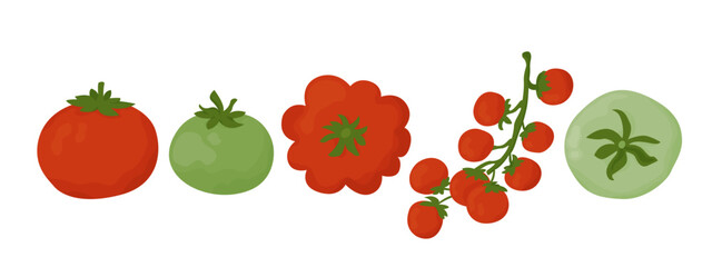 Flat design tomatoes set isolated on white background. Cute vegetarian food. Hand drawn vector illustration.