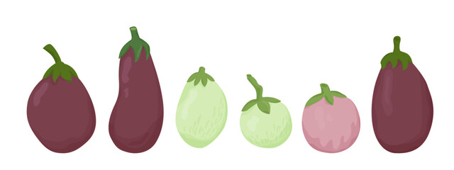 Collection fresh delicious eggplants isolated on white background. Bundle of healthy and tasty vegan products, vegetarian food vector illustration.