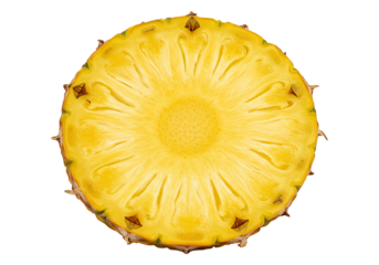 Fresh pineapple slice overhead close up food still life