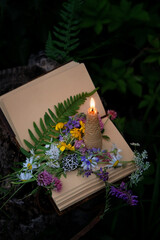 burning wax candle, flowers, amulet, spell book outdoor, nature background. Magic Ritual, witchcraft. esoteric spiritual practice with sacred plants. botany, study of herbs, flowers. Green witch magic