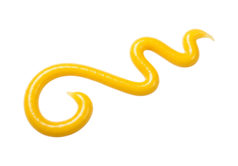 Stream of yellow sauce isolated on transparent background for food concept