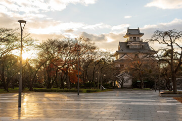 Fototapete bei efototapeten.de bestellen   